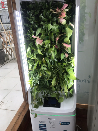 微森林植物园旅行图片 1