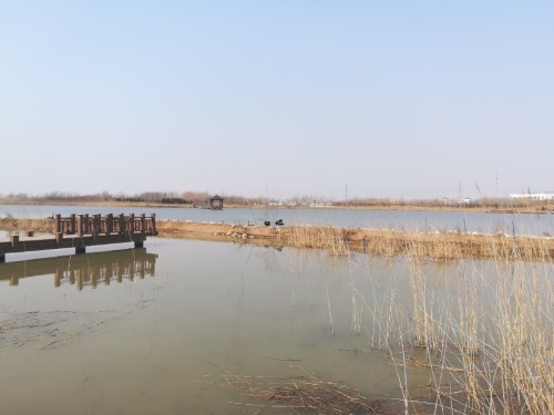 北海湿地公园旅行图片 3