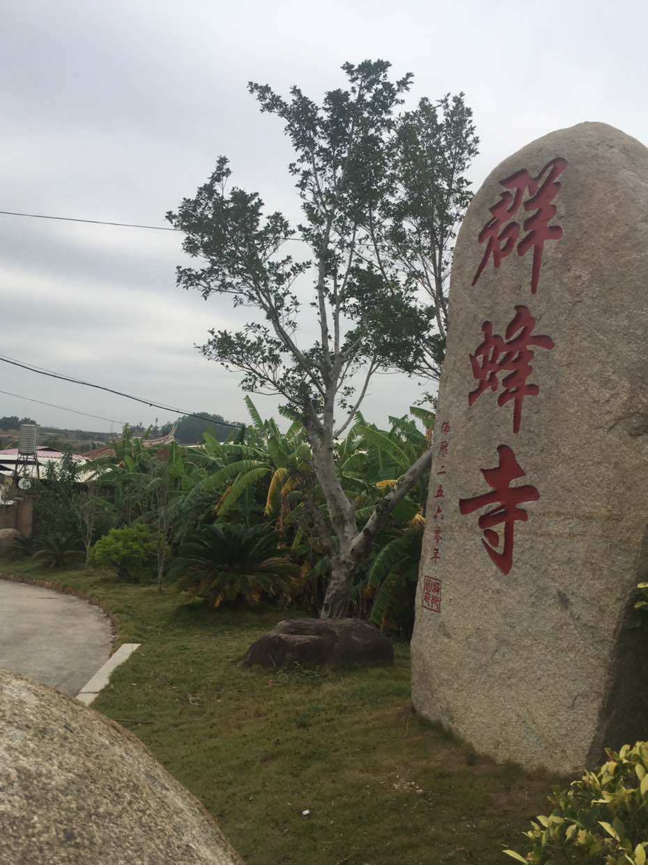 晋江内坑群蜂寺实景照片