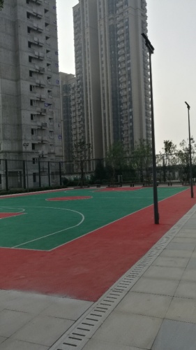 新村公园旅行图片 2
