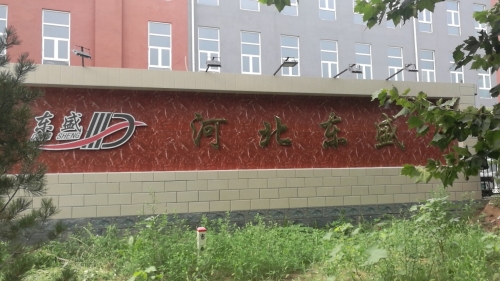 河北东盛