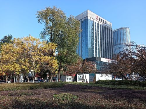 皖江游园