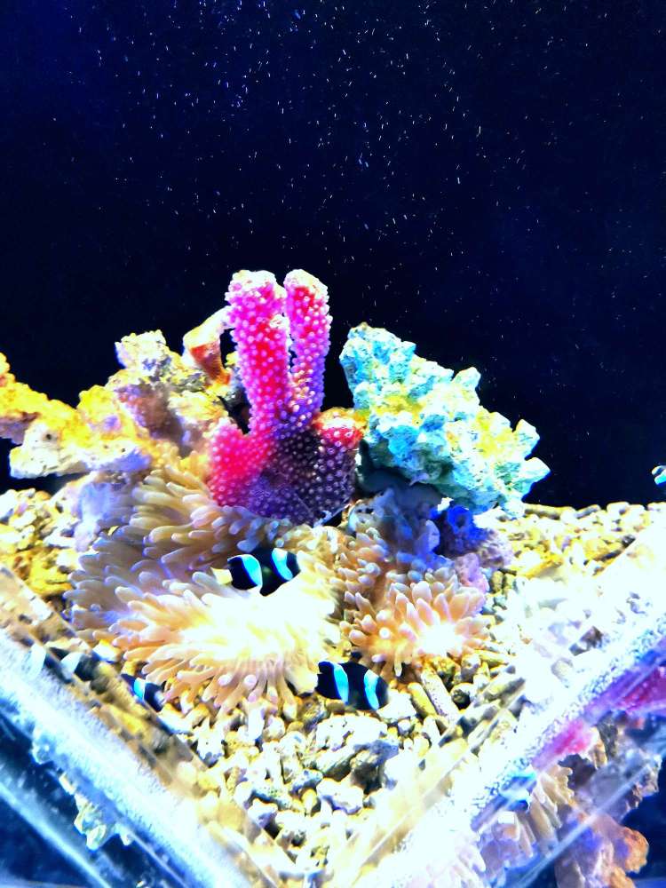 鄂尔多斯海洋馆景点图片