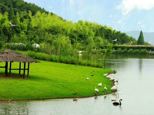 安吉中南百草原景区