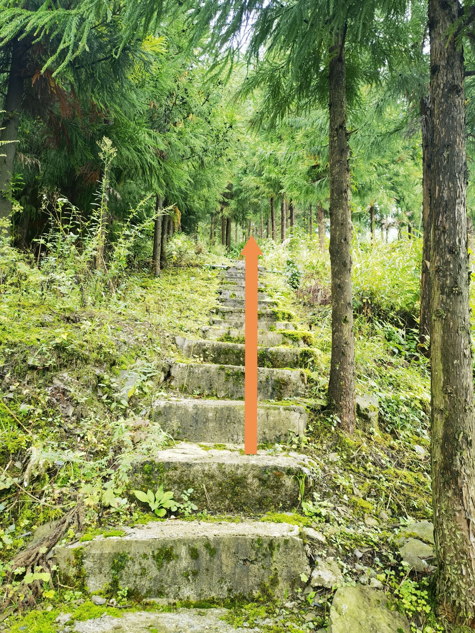 川主庙实景照片