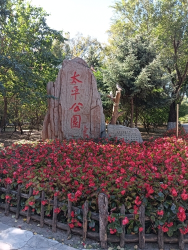 太平公园-景石