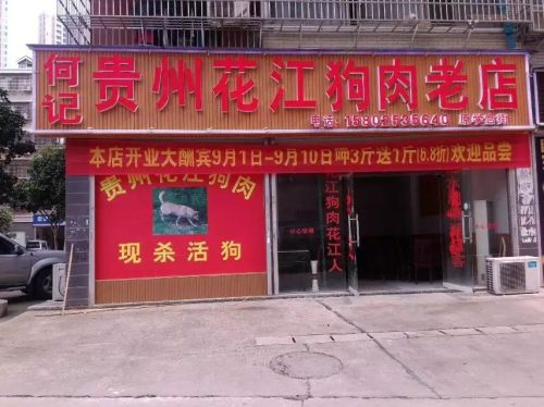 何记贵州花江狗肉老店(洪西小区店)