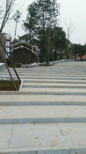 半山公园旅行图片 2