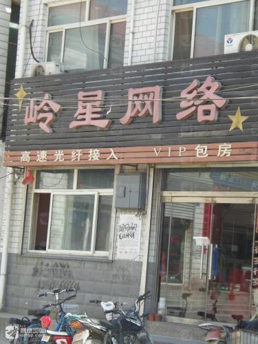 岭星网络