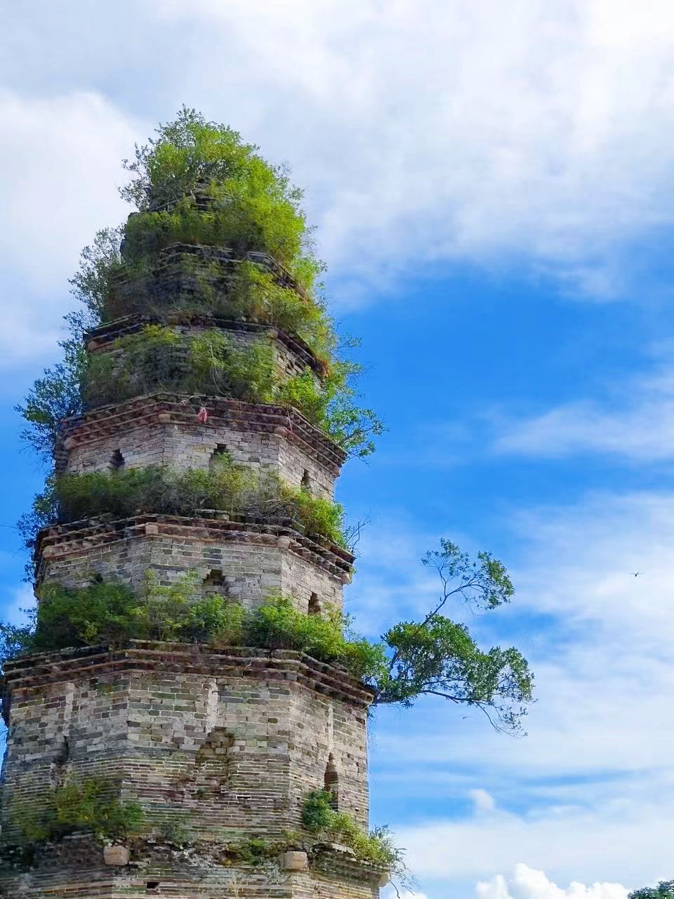 塔山凤泉岩实景照片