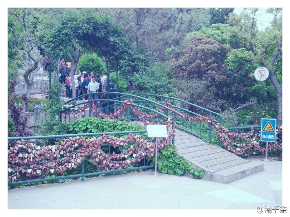 信号山公园景点图片