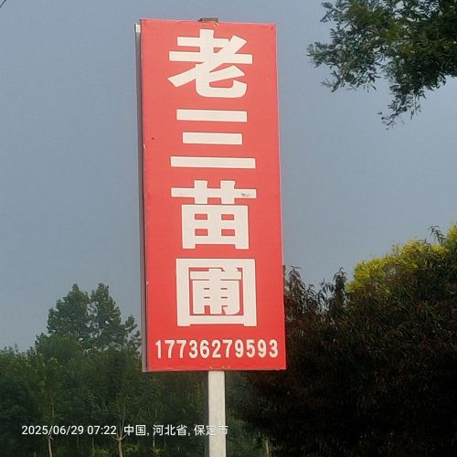 老三苗圃
