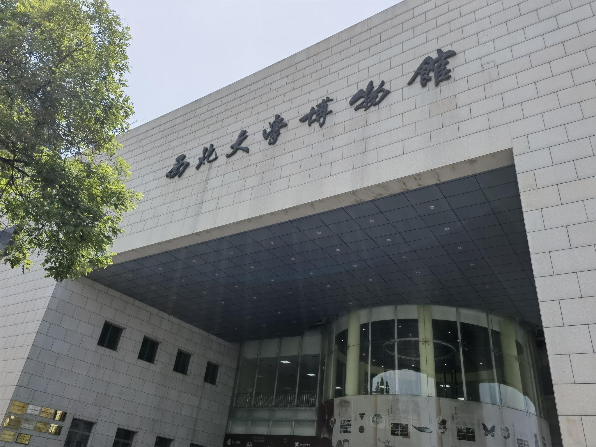 西北大学博物馆