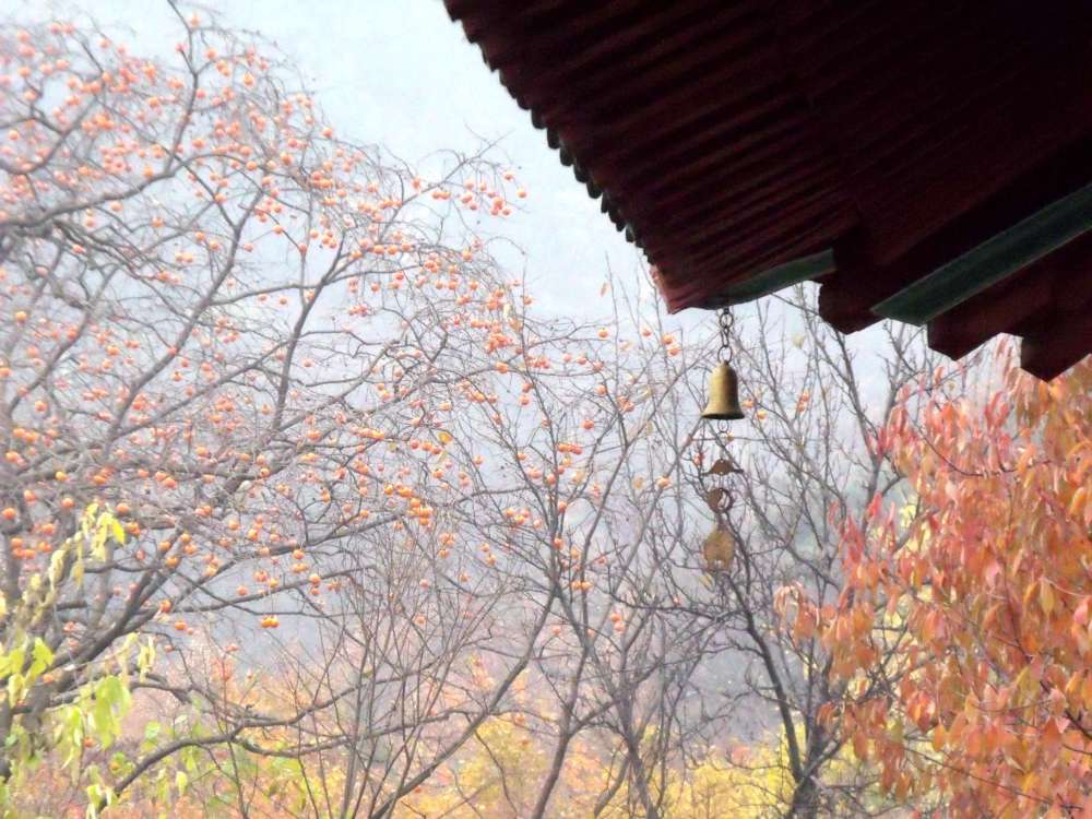 玉泉寺景区景点图片