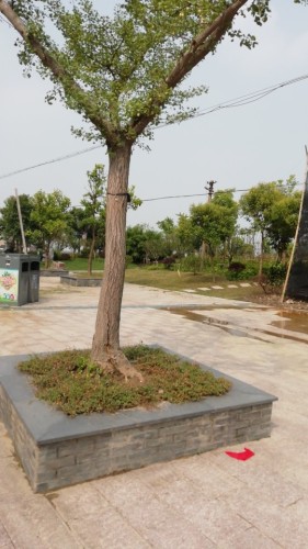 大舜公园旅行图片 3