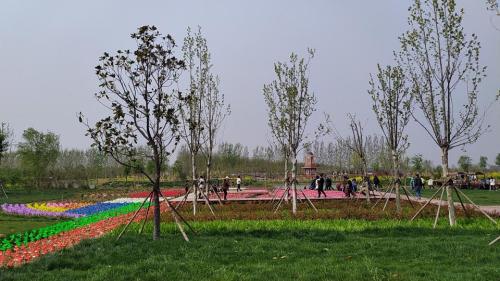 黄河湿地鸟类国家级自然保护区旅行图片 1