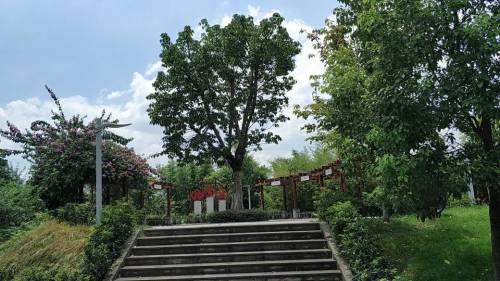 雨台山公园旅行图片 3