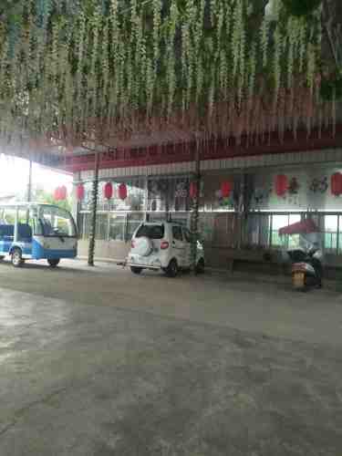 雨花广场旅行图片 3