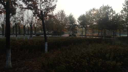 翔凤河公园旅行图片 1