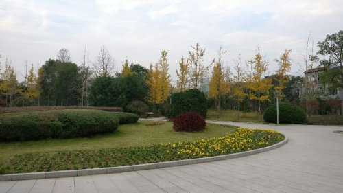 江滨公园旅行图片 2