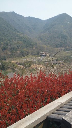 东海大峡谷国家森林公园之茶人谷生态旅游区旅行图片 2