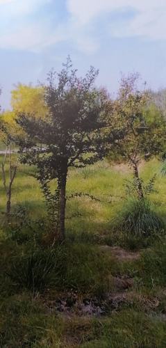 滨河公园旅行图片
