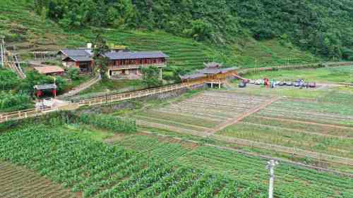 马厂坝田园综合体(荷文化乡村旅游区)旅行图片 3