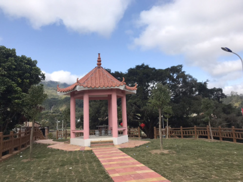 新光村榕树头公园旅行图片 2