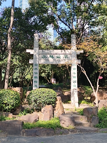 丛林叠翠