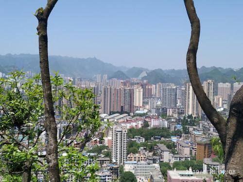钟山公园旅行图片 3