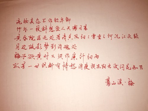 白洋河湿地旅行图片 1