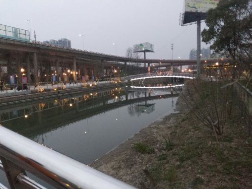 葑谊公园里旅行图片 3