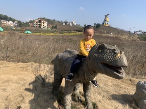 百万花海旅行图片 2