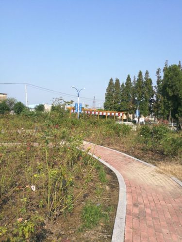 五农公园旅行图片 3