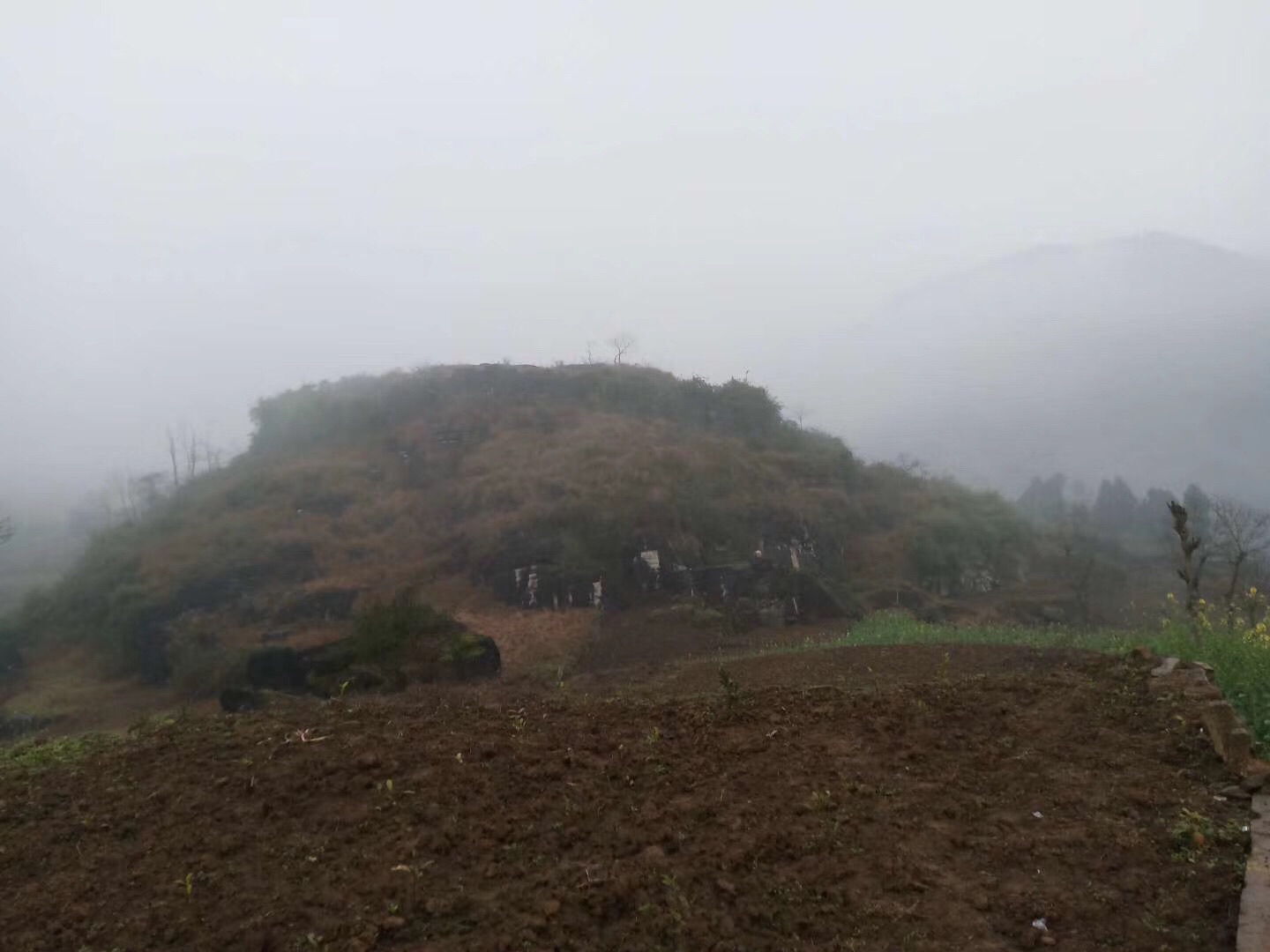 金龟寺实景照片