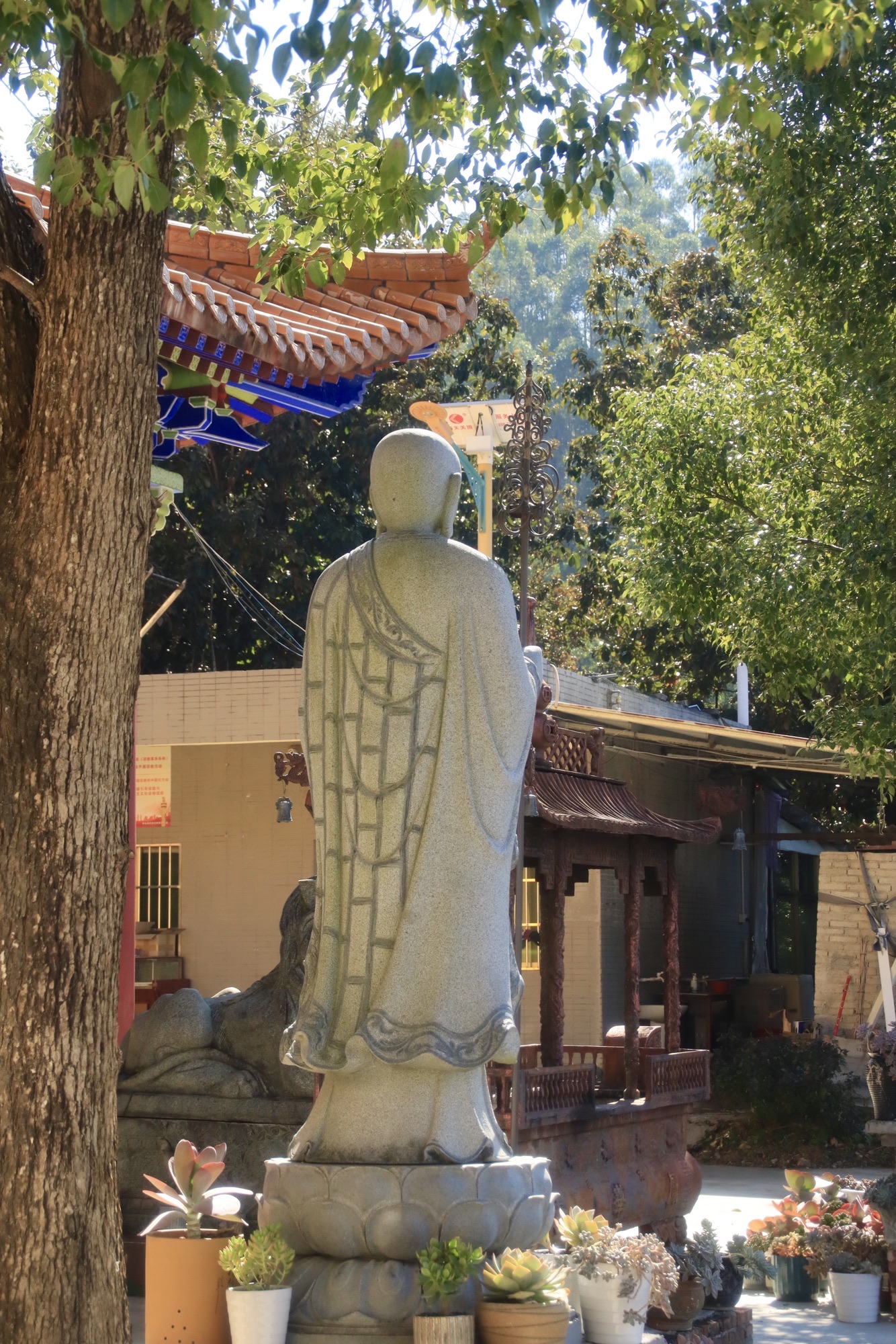 紫金县凤华寺实景照片