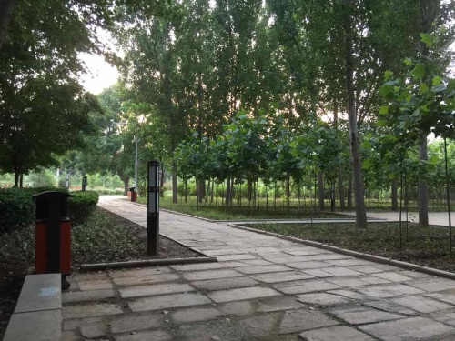 创业公园旅行图片 1