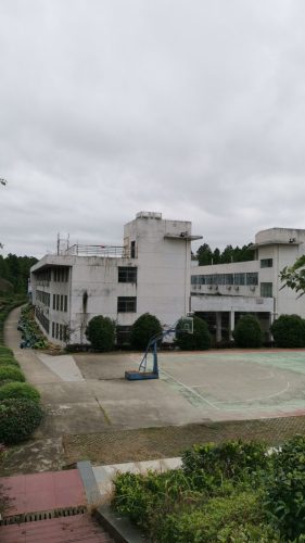 海院前广场旅行图片 1