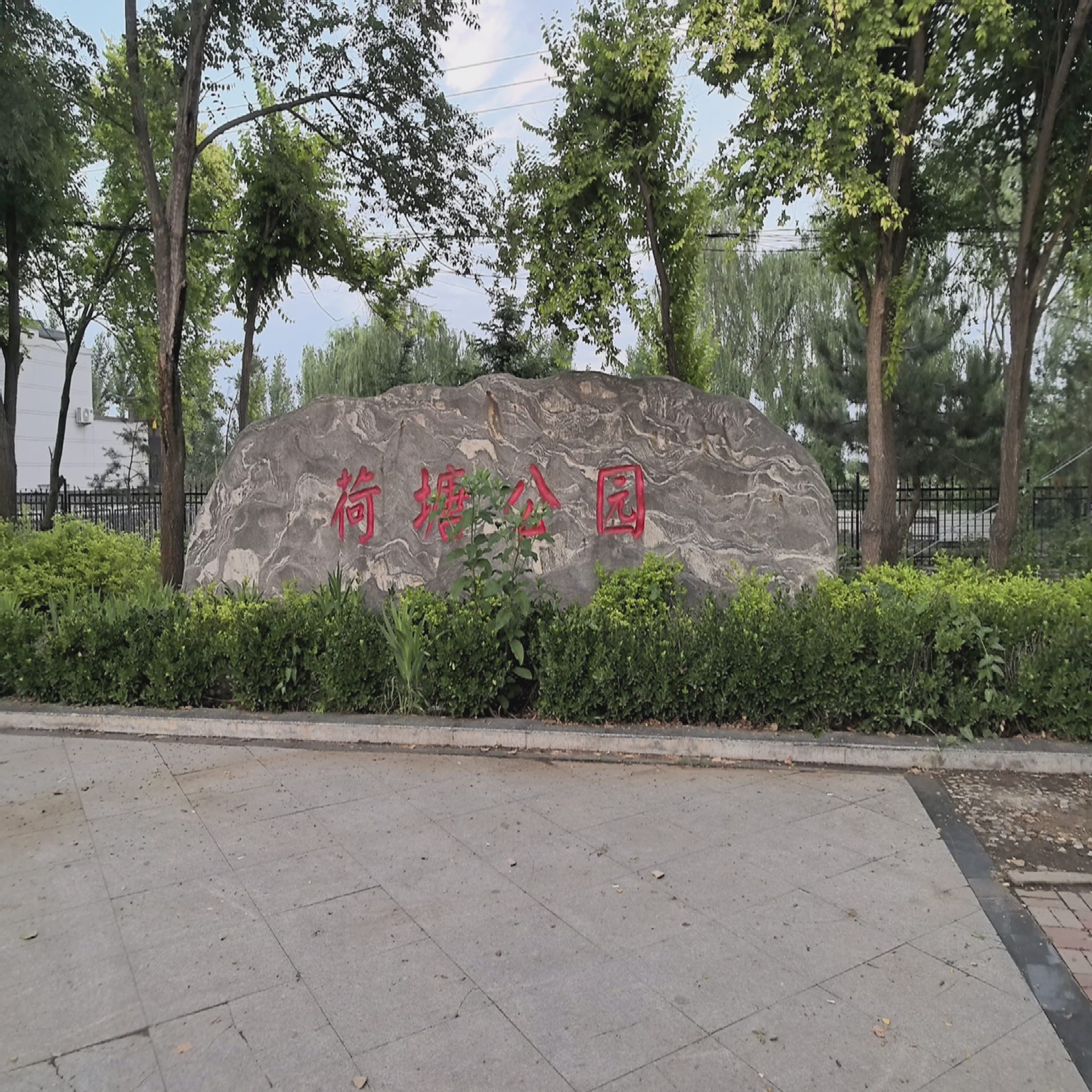 荷塘公园