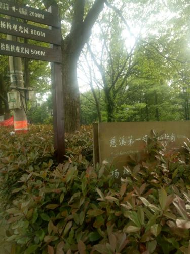 岗墩古道风景区旅行图片 2
