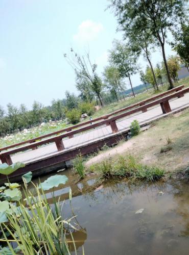 平舆县植物园旅行图片 1