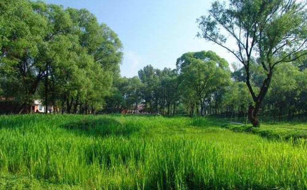 翠湖国家城市湿地公园景点图片