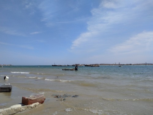 卓达海洋公园旅行图片 2