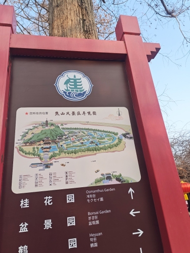 焦山景区-桂花园