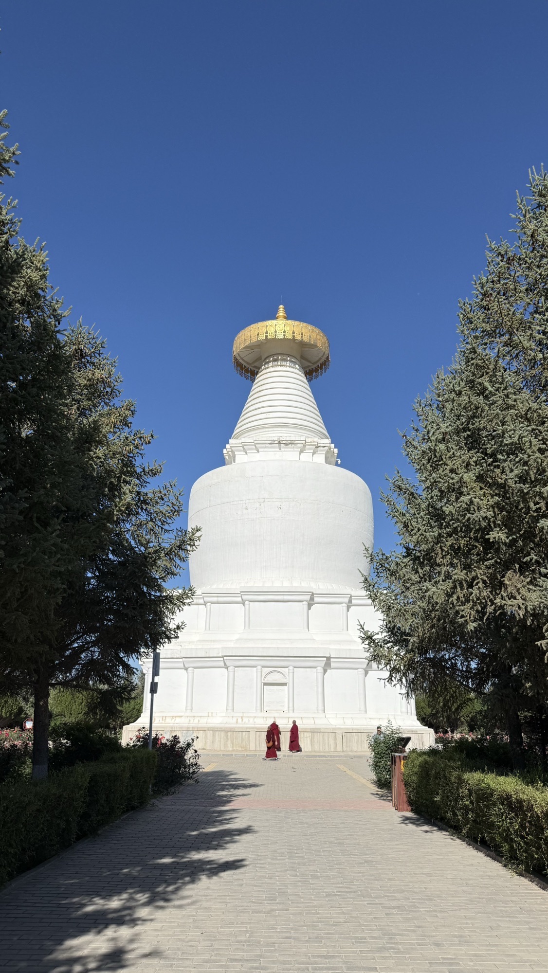 白塔寺遗址实景照片