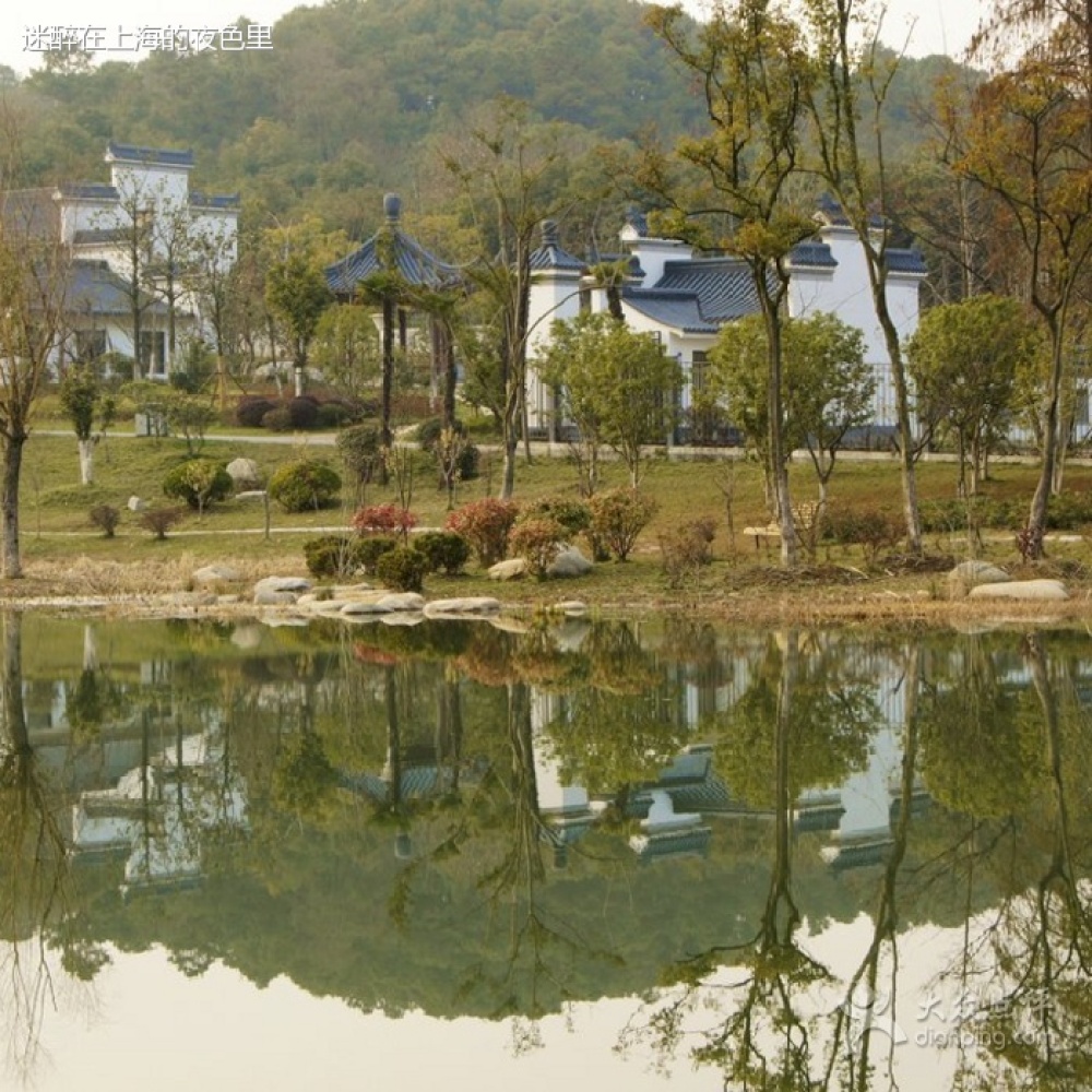 神山公园景点图片