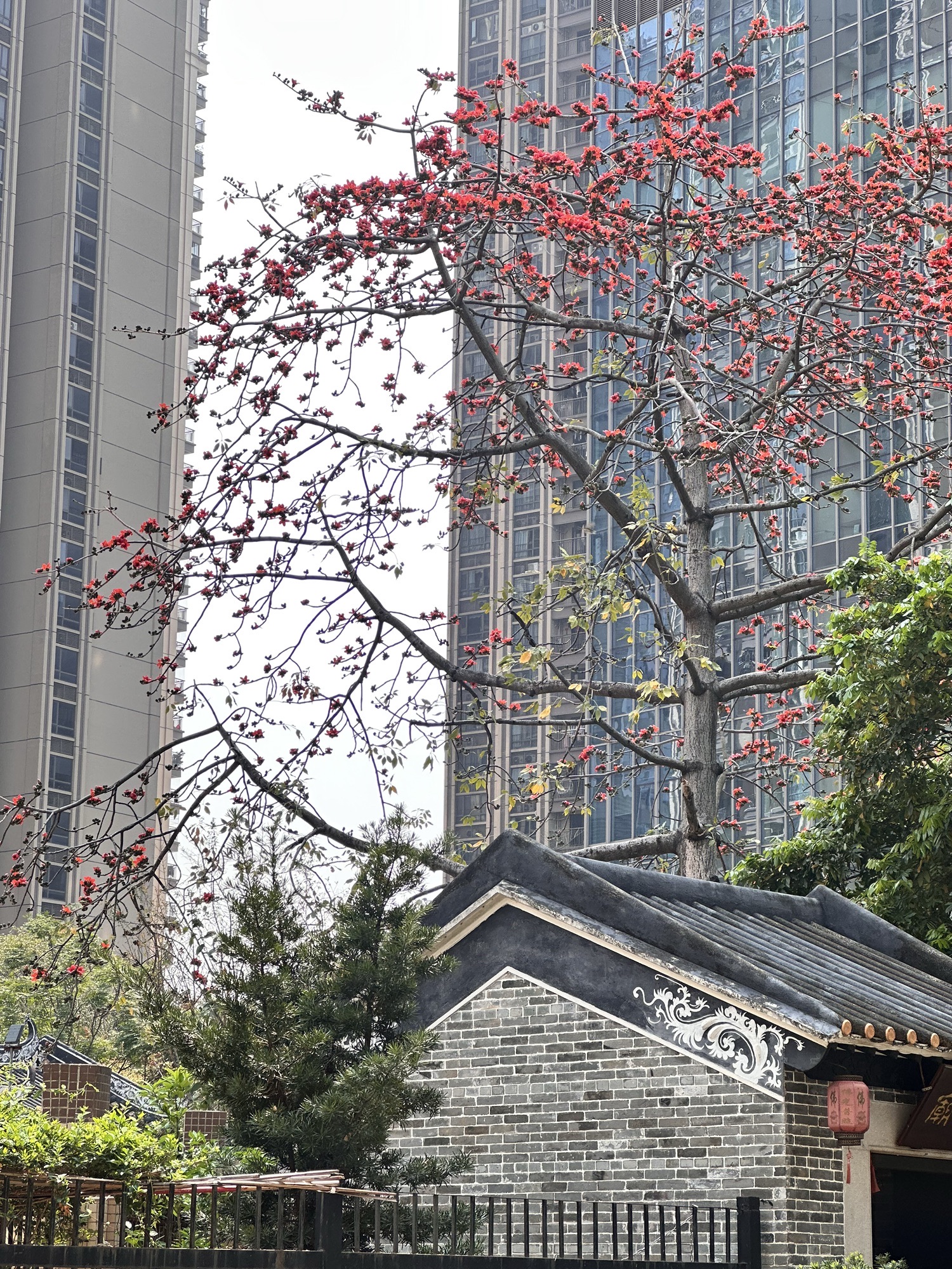 万善古庙实景照片