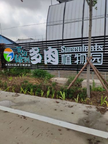 青岛百亿绿洲多肉植物园旅行图片 2