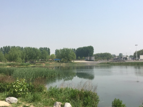 湿地公园旅行图片 1