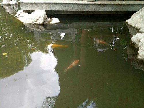乾明寺游览区旅行图片 3